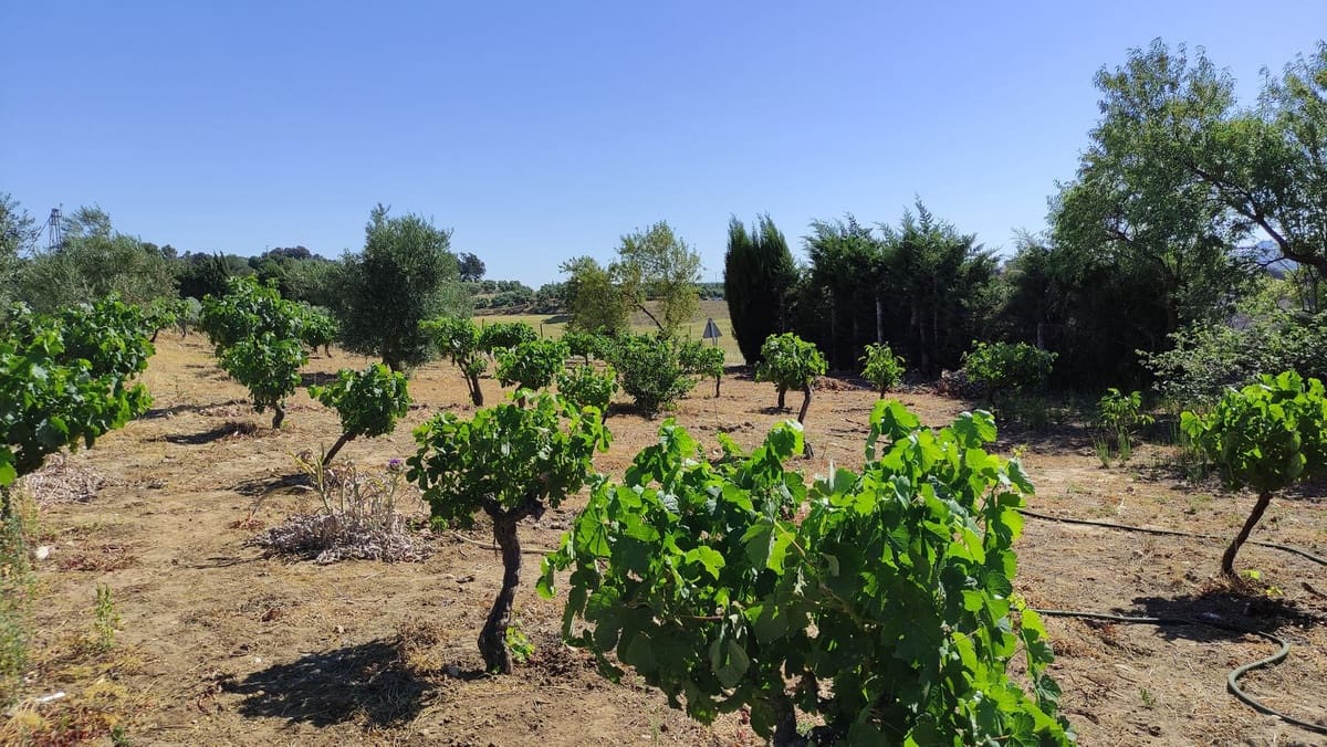 4 Zimmer Finca/Landgut zu verkaufen in Ronda - 477.500 € (Ref: 10128418)