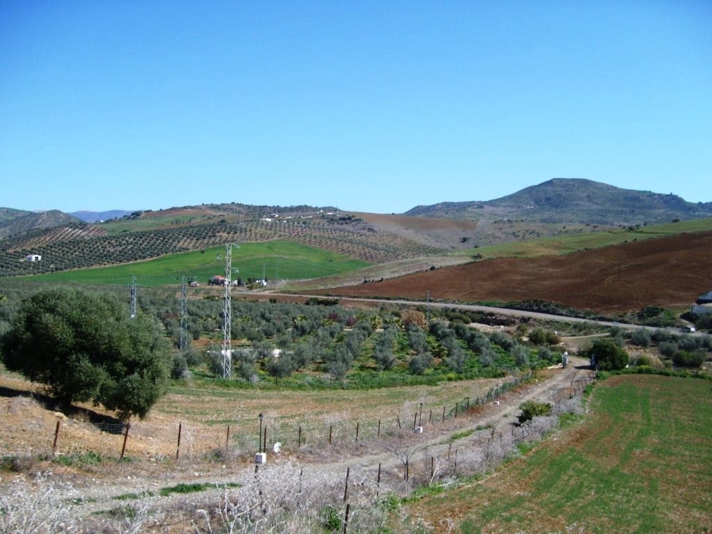 Finca/Casa Rural de 2 habitaciones en Alora en venta - 690.000 € (Ref: 10128448)