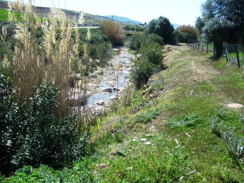 Finca/Casa Rural de 2 habitaciones en Alora en venta - 690.000 € (Ref: 10128448)