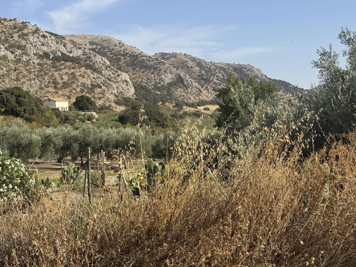 3 soveværelse Finca/Landehus til salg i Alfarnate med swimmingpool garage - € 380.000 (Ref: 10128454)