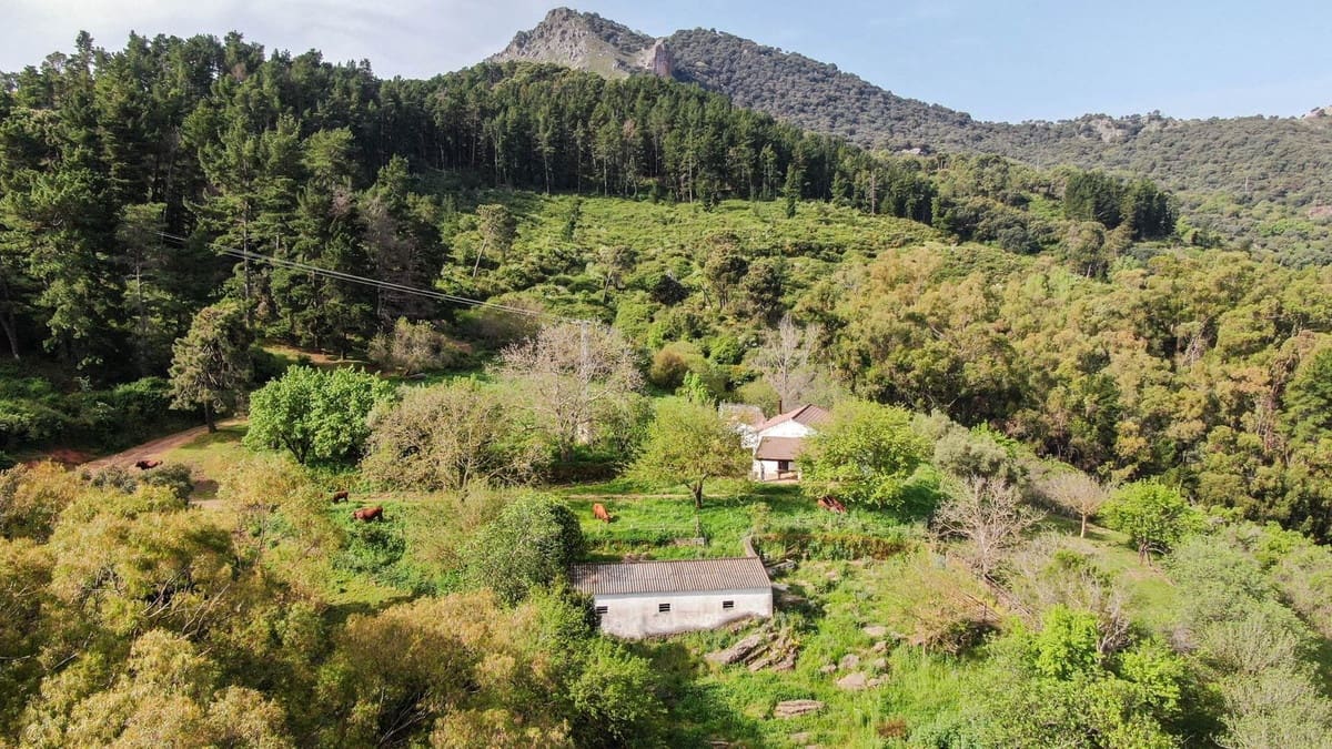 3 slaapkamer Finca/Landhuis te koop in Gaucin - € 1.500.000 (Ref: 10128497)