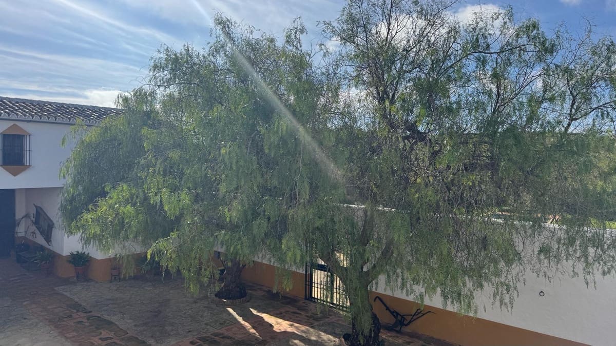 Finca/Casa Rural de 10 habitaciones en Teba en venta con piscina garaje - 1.950.000 € (Ref: 10128502)