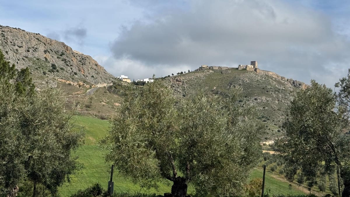 Finca/Casa Rural de 10 habitaciones en Teba en venta con piscina garaje - 1.950.000 € (Ref: 10128502)