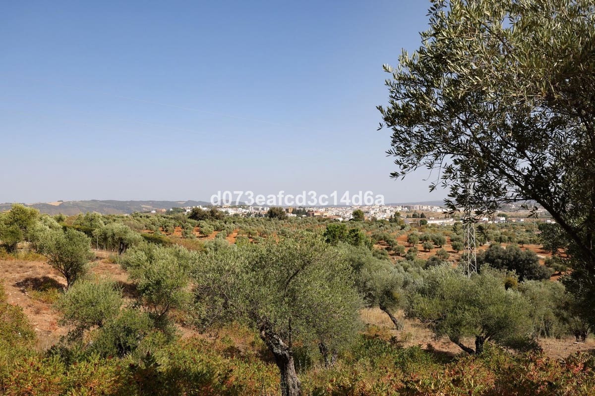 6 camera da letto Villa in vendita in Ronda con piscina garage - 530.000 € (Rif: 10128512)