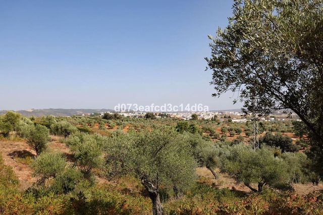 6 camera da letto Villa in vendita in Ronda con piscina garage - 530.000 € (Rif: 10128512)