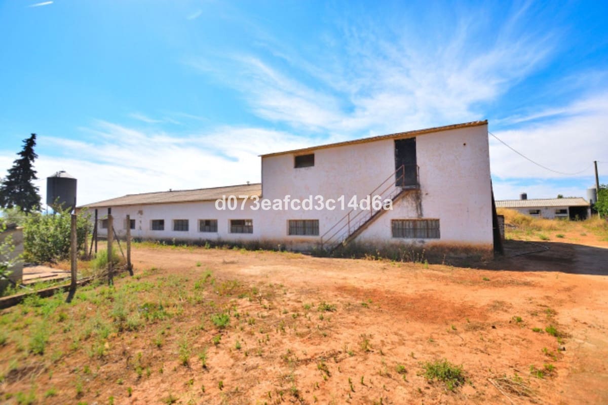 1 Zimmer Finca/Landgut zu verkaufen in Ronda - 365.000 € (Ref: 10128521)