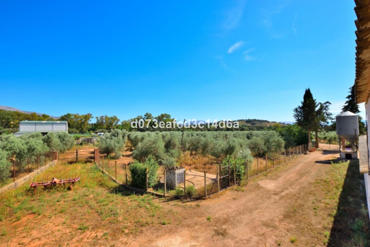 1 Zimmer Finca/Landgut zu verkaufen in Ronda - 365.000 € (Ref: 10128521)