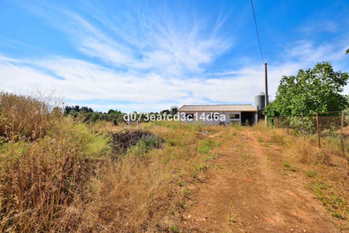 1 Zimmer Finca/Landgut zu verkaufen in Ronda - 365.000 € (Ref: 10128521)