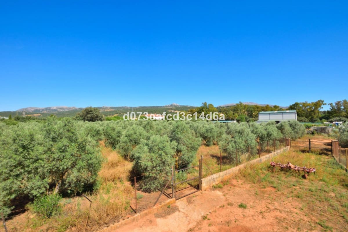 1 Zimmer Finca/Landgut zu verkaufen in Ronda - 365.000 € (Ref: 10128521)