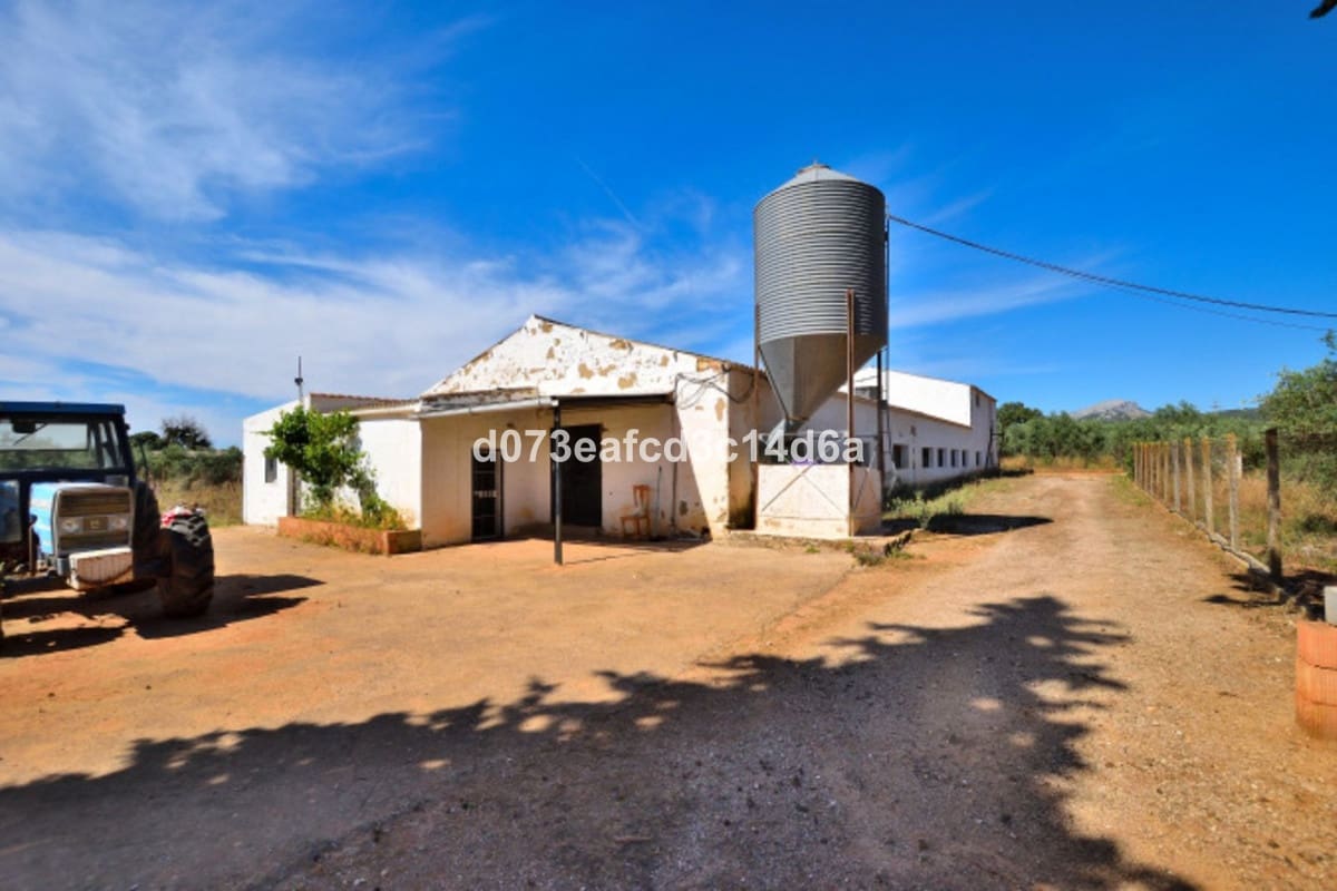 1 Zimmer Finca/Landgut zu verkaufen in Ronda - 365.000 € (Ref: 10128521)