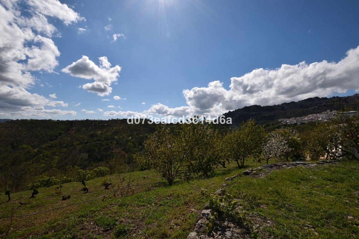 2 bedroom Finca/Country House for sale in Cartajima - € 349,000 (Ref: 10128522)