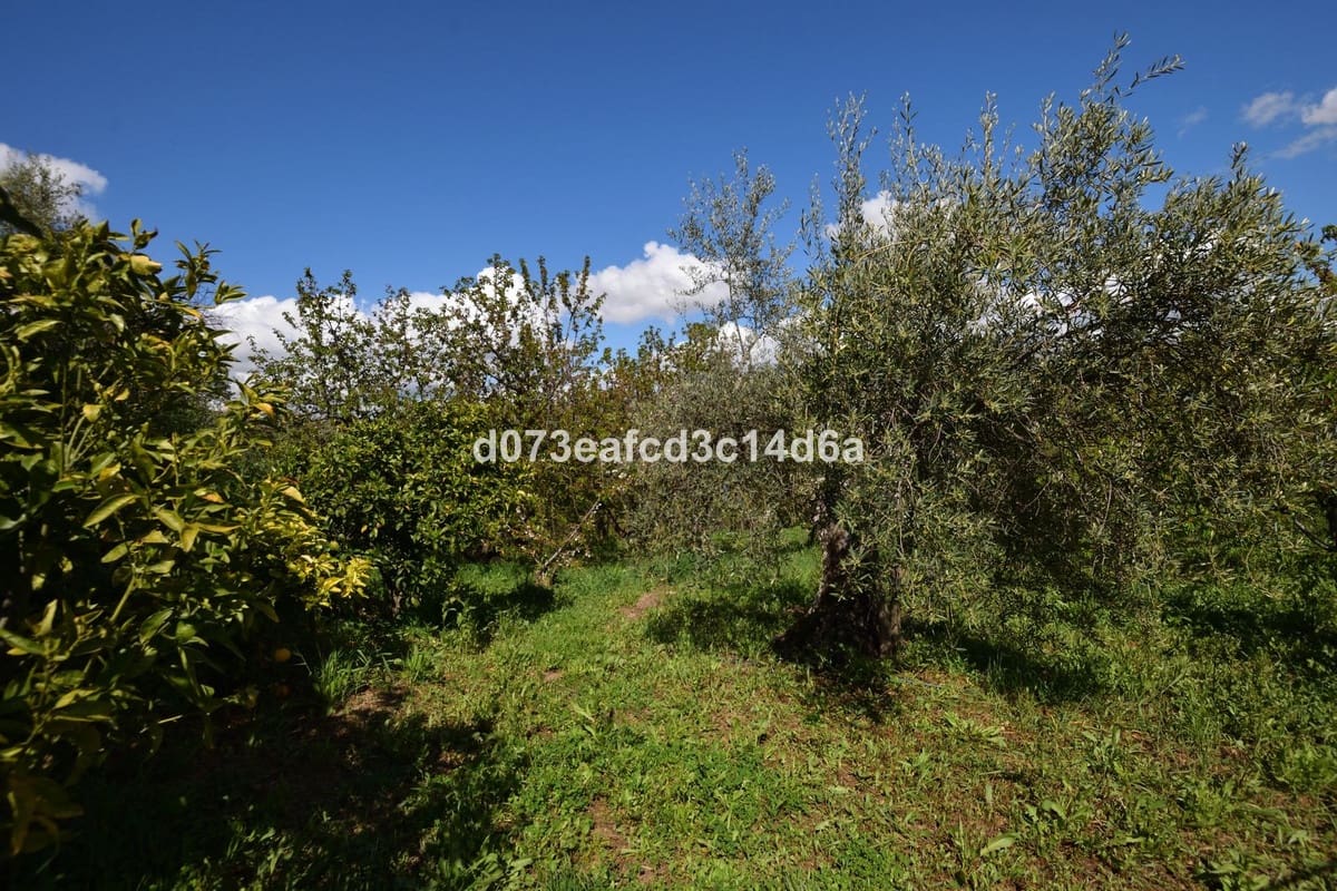 2 bedroom Finca/Country House for sale in Cartajima - € 349,000 (Ref: 10128522)