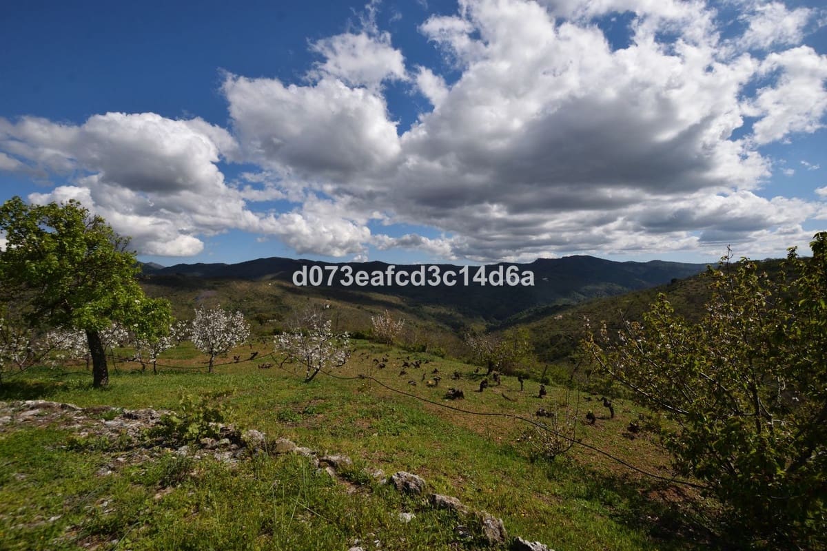 2 bedroom Finca/Country House for sale in Cartajima - € 349,000 (Ref: 10128522)