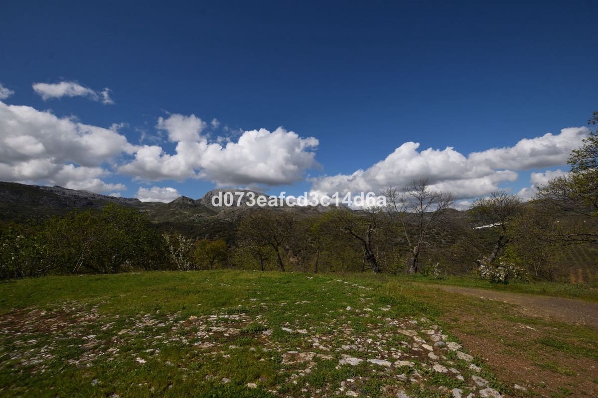 2 bedroom Finca/Country House for sale in Cartajima - € 349,000 (Ref: 10128522)