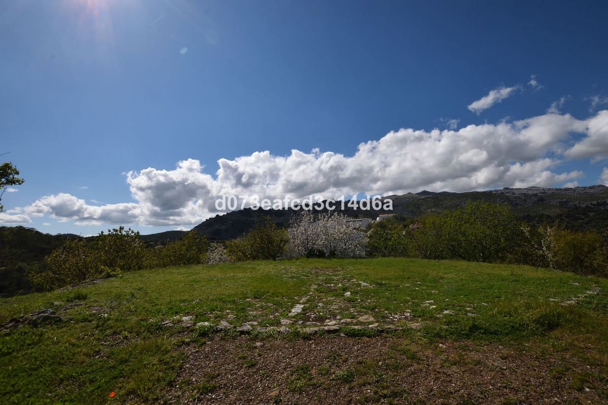 2 bedroom Finca/Country House for sale in Cartajima - € 349,000 (Ref: 10128522)