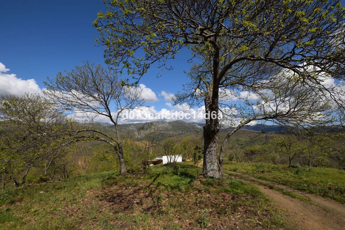 2 bedroom Finca/Country House for sale in Cartajima - € 349,000 (Ref: 10128522)