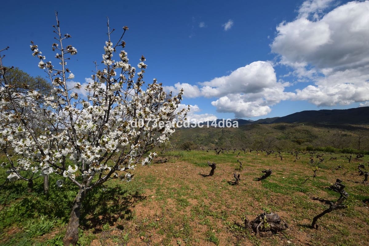 2 bedroom Finca/Country House for sale in Cartajima - € 349,000 (Ref: 10128522)