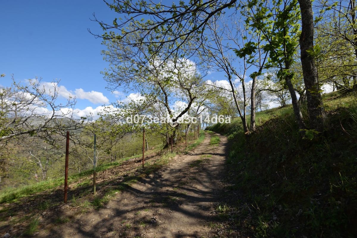 2 bedroom Finca/Country House for sale in Cartajima - € 349,000 (Ref: 10128522)