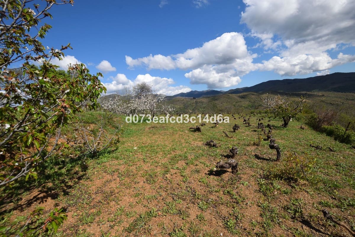 2 bedroom Finca/Country House for sale in Cartajima - € 349,000 (Ref: 10128522)