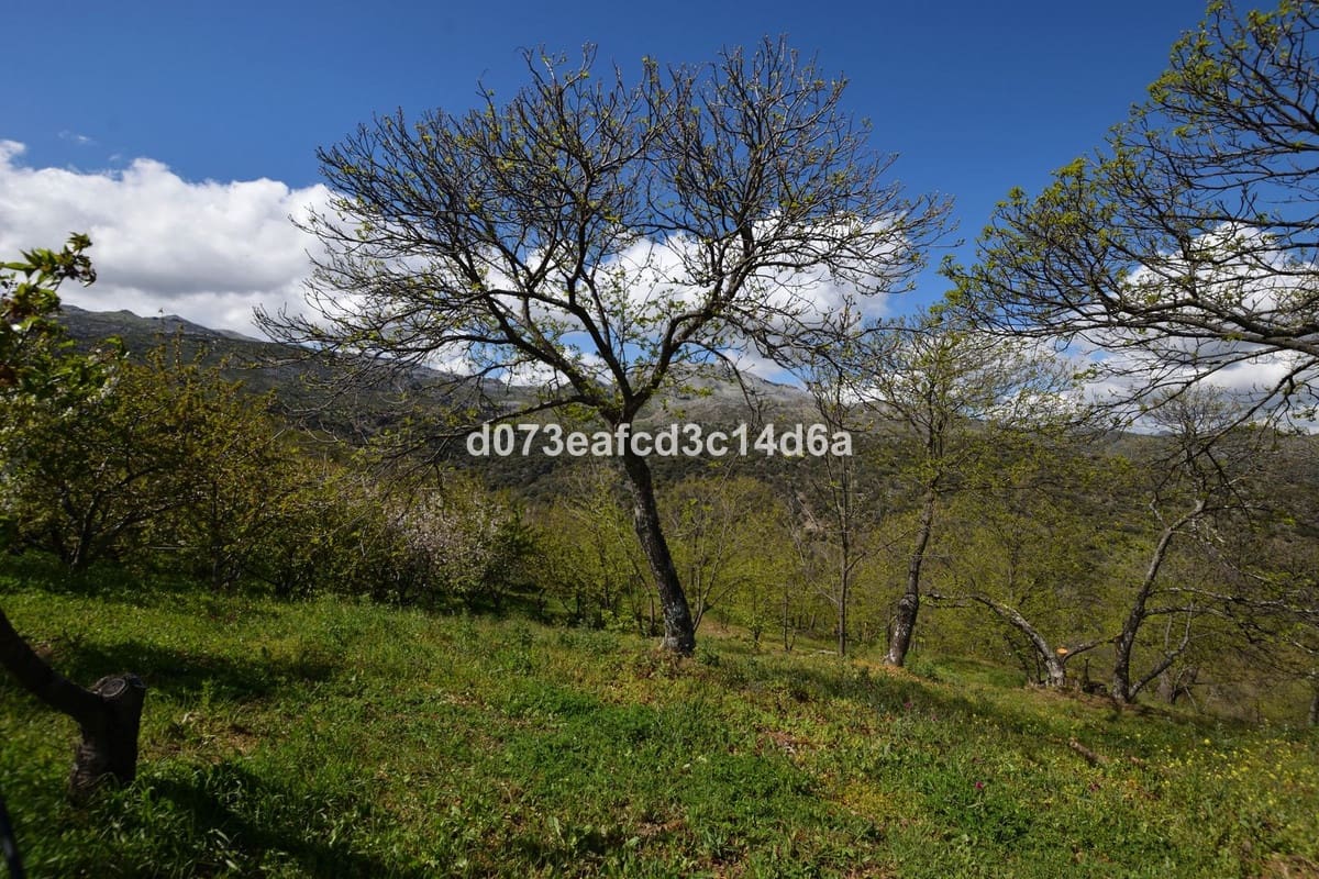 2 bedroom Finca/Country House for sale in Cartajima - € 349,000 (Ref: 10128522)