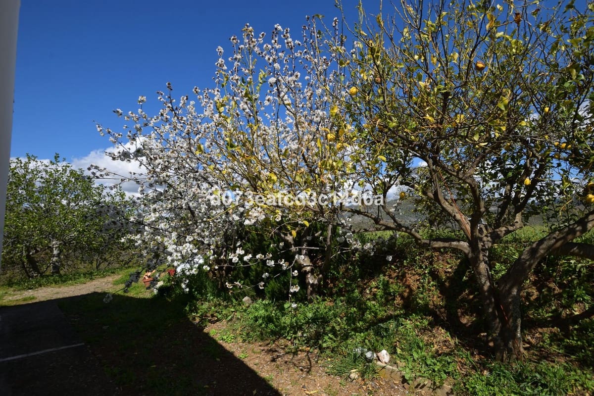 2 bedroom Finca/Country House for sale in Cartajima - € 349,000 (Ref: 10128522)