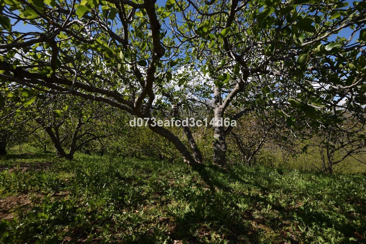 2 bedroom Finca/Country House for sale in Cartajima - € 349,000 (Ref: 10128522)