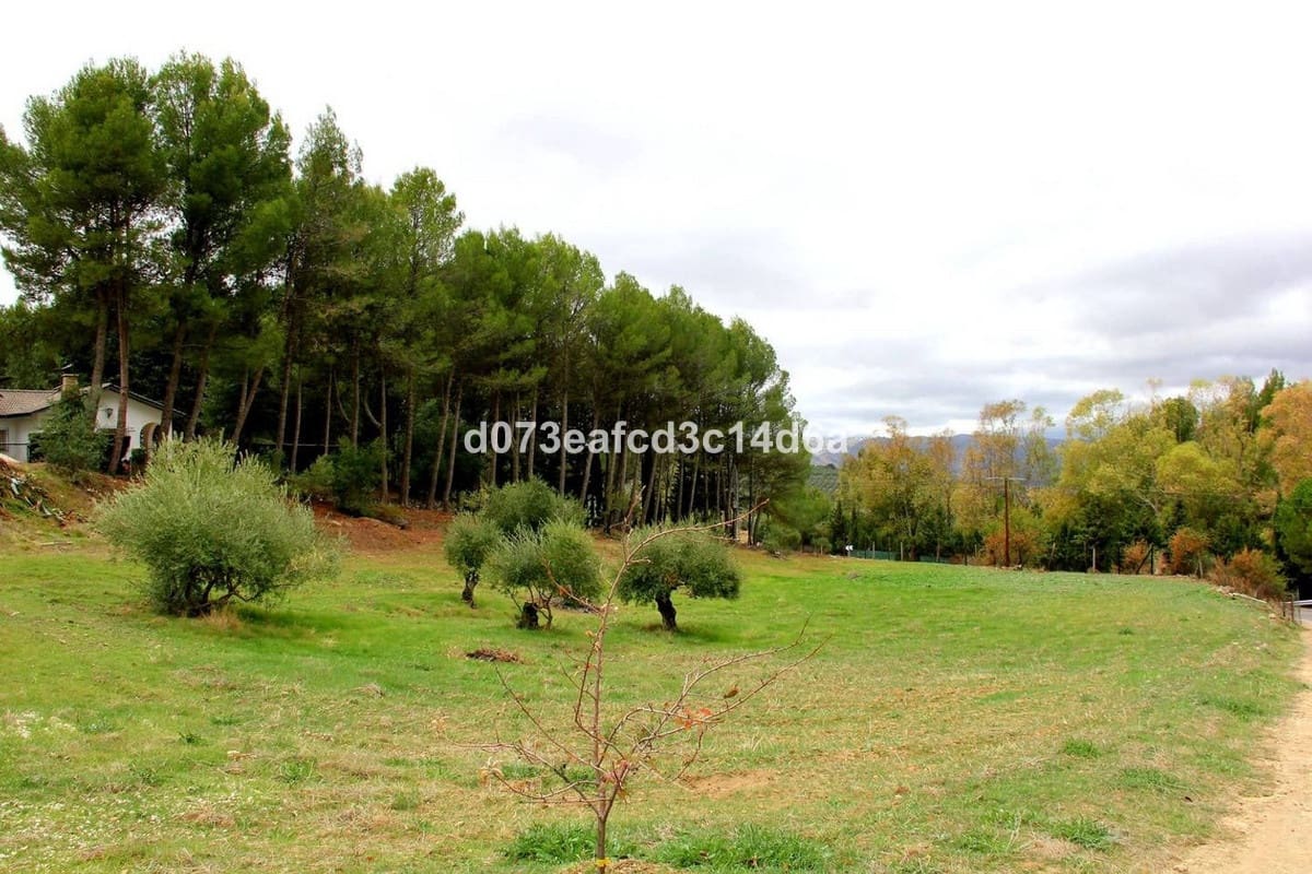 3 Zimmer Villa zu verkaufen in Ronda mit Pool Garage - 490.000 € (Ref: 10128533)
