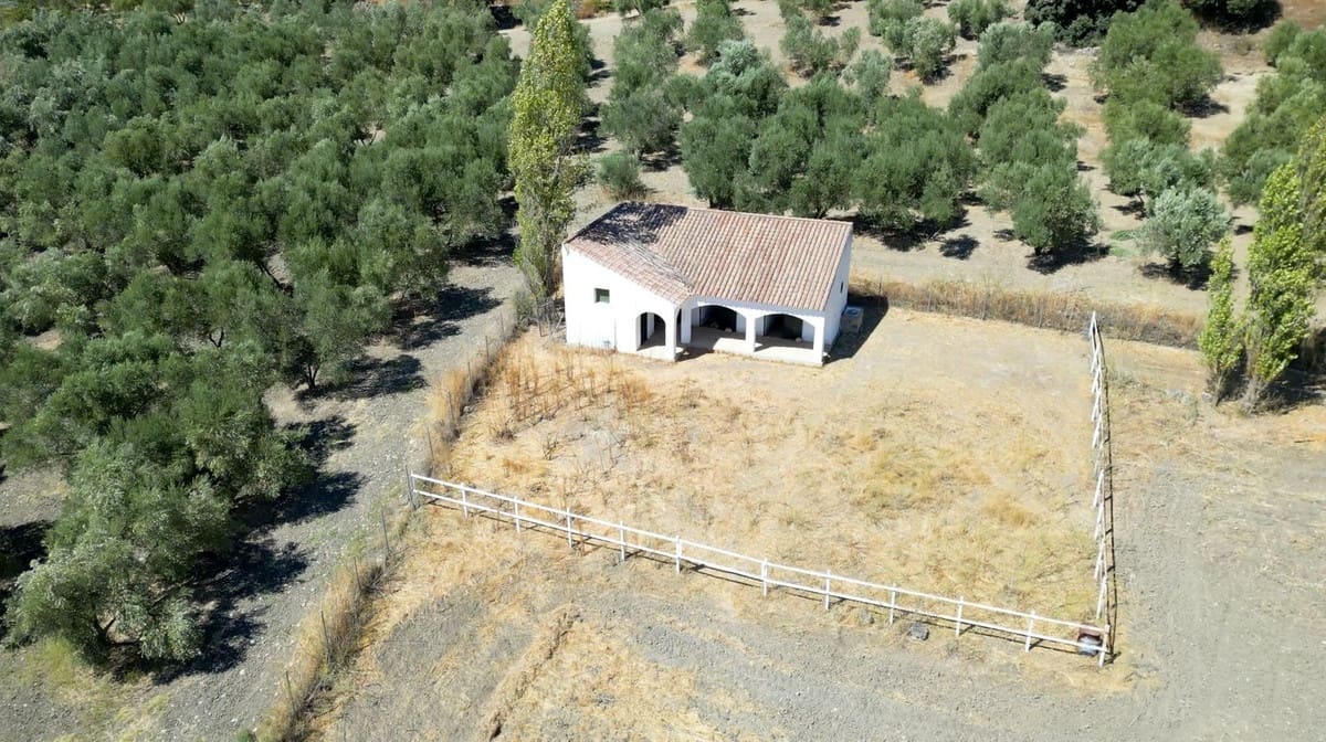 5 soverom Finca/Herregård til salgs i Ronda med svømmebasseng garasje - € 1 600 000 (Ref: 10128574)