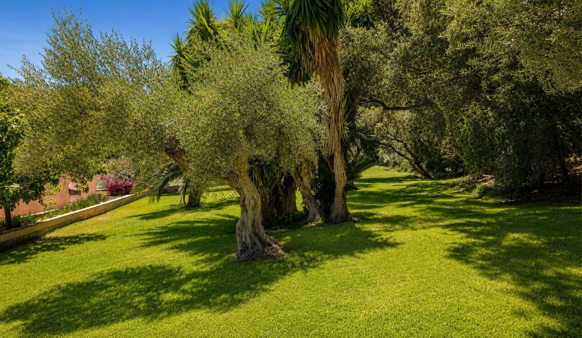 6 Zimmer Finca/Landgut zu verkaufen in Ronda mit Pool Garage - 805.000 € (Ref: 10128576)