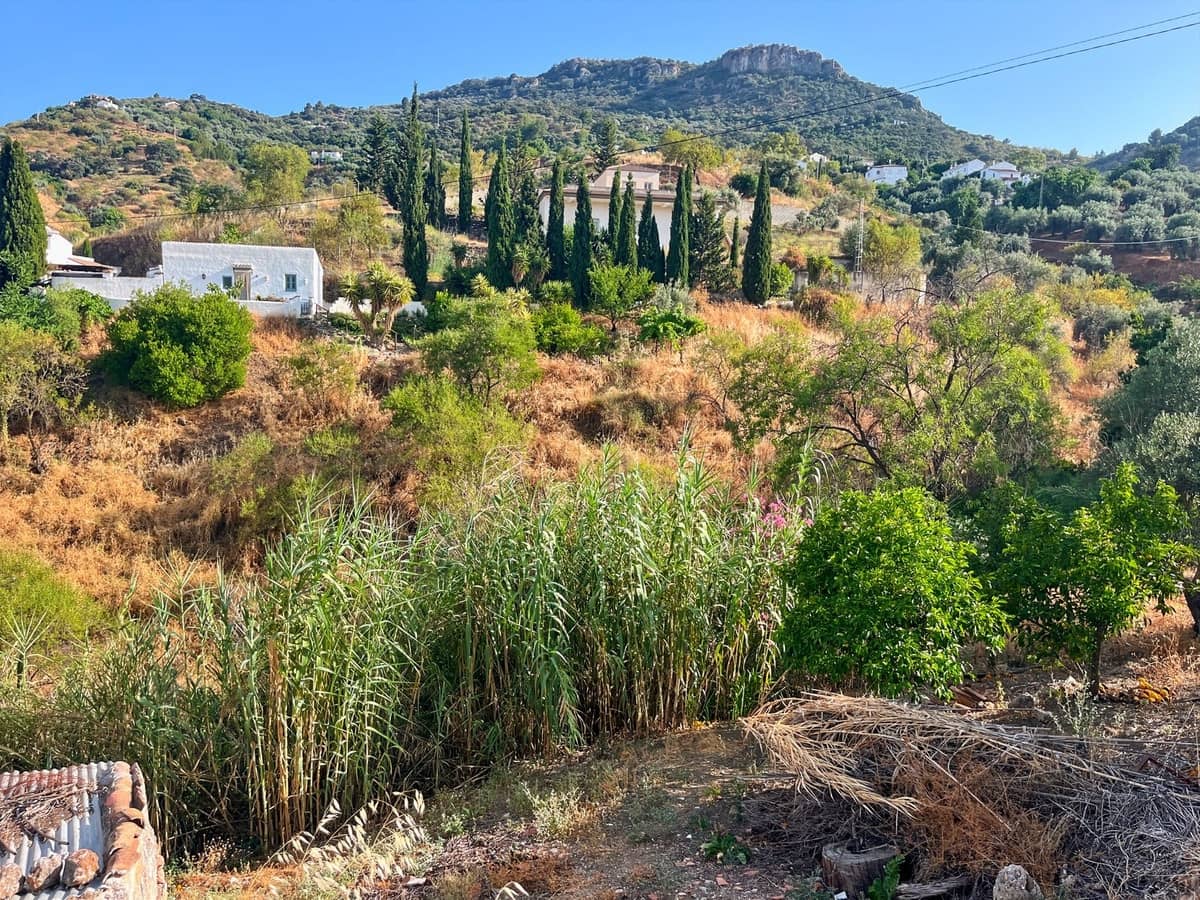5 chambre Finca/Maison de Campagne à vendre à Comares - 260 000 € (Ref: 10128649)