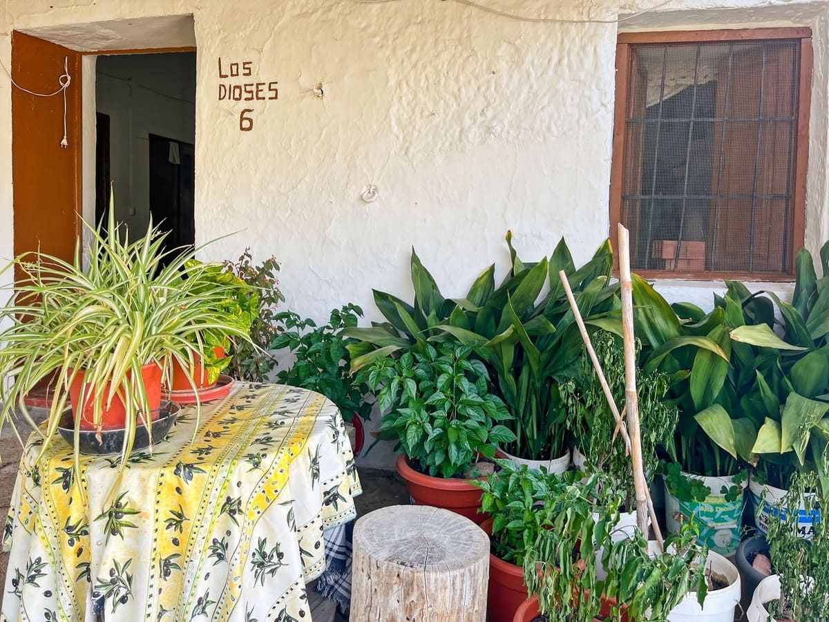 5 chambre Finca/Maison de Campagne à vendre à Comares - 260 000 € (Ref: 10128649)