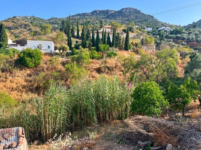 5 chambre Finca/Maison de Campagne à vendre à Comares - 260 000 € (Ref: 10128649)