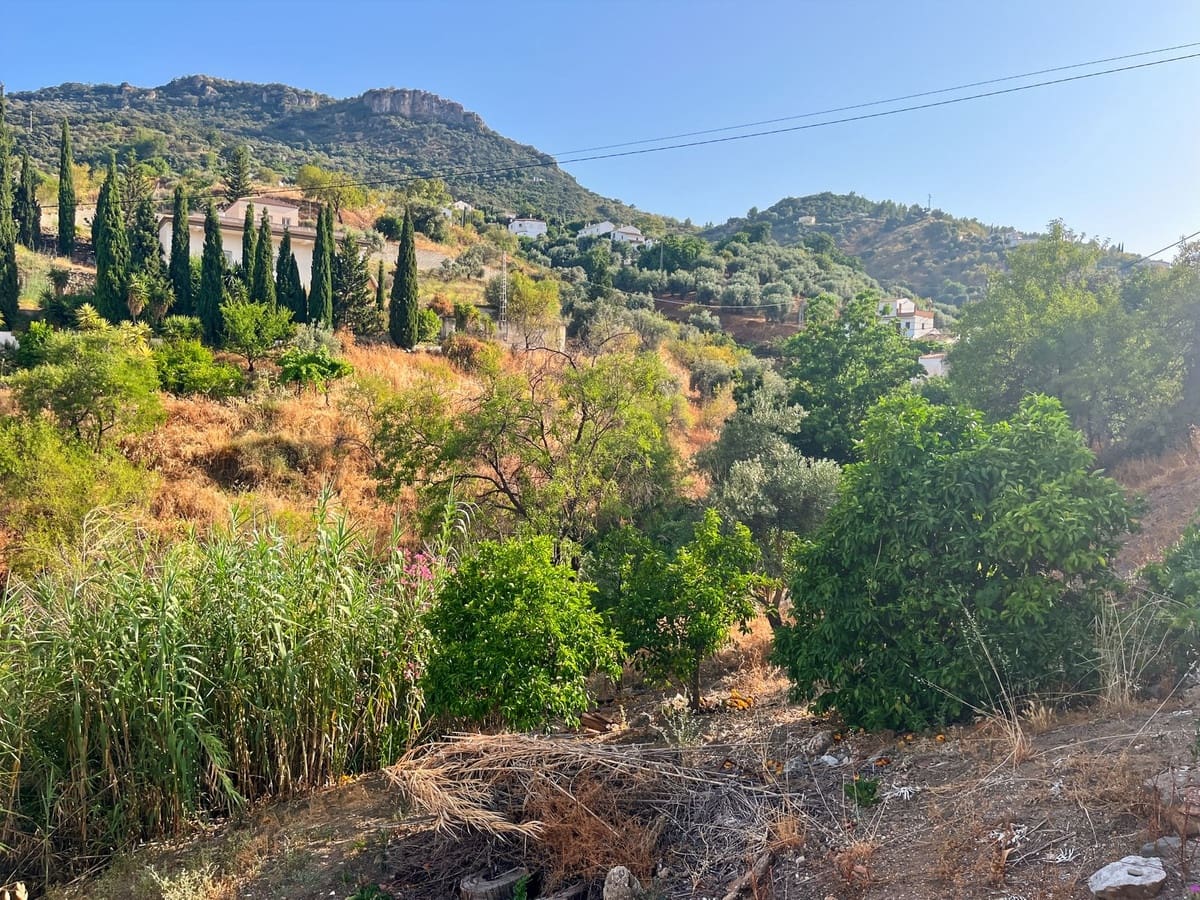 5 chambre Finca/Maison de Campagne à vendre à Comares - 260 000 € (Ref: 10128649)