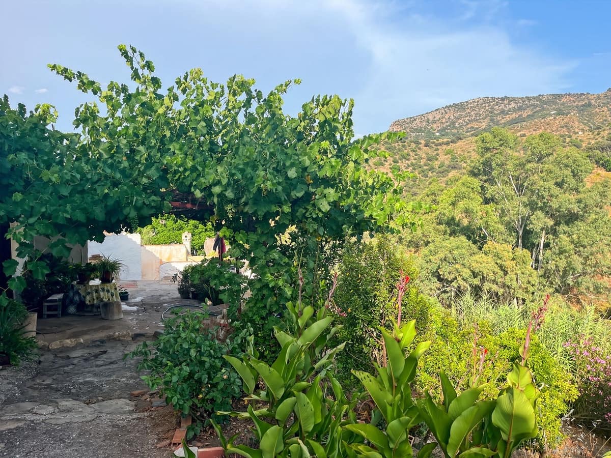 5 chambre Finca/Maison de Campagne à vendre à Comares - 260 000 € (Ref: 10128649)