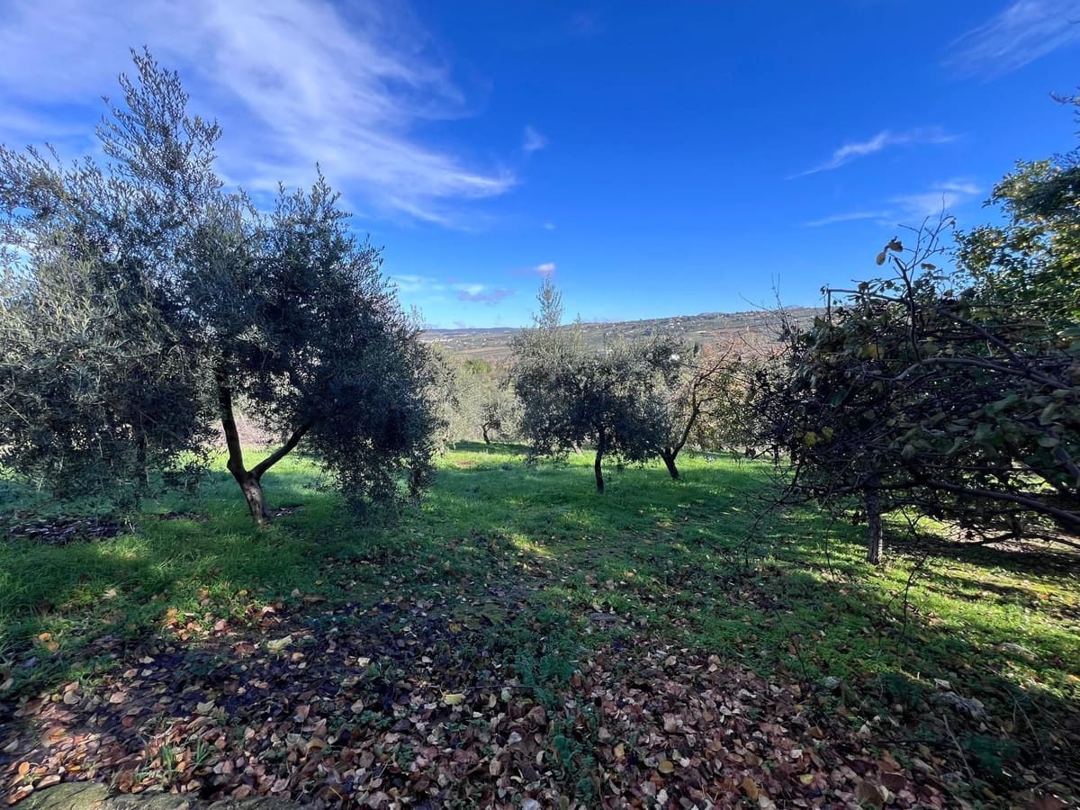 6 quarto Quinta/Casa Rural para venda em Ronda com piscina garagem - 2 900 000 € (Ref: 10128652)