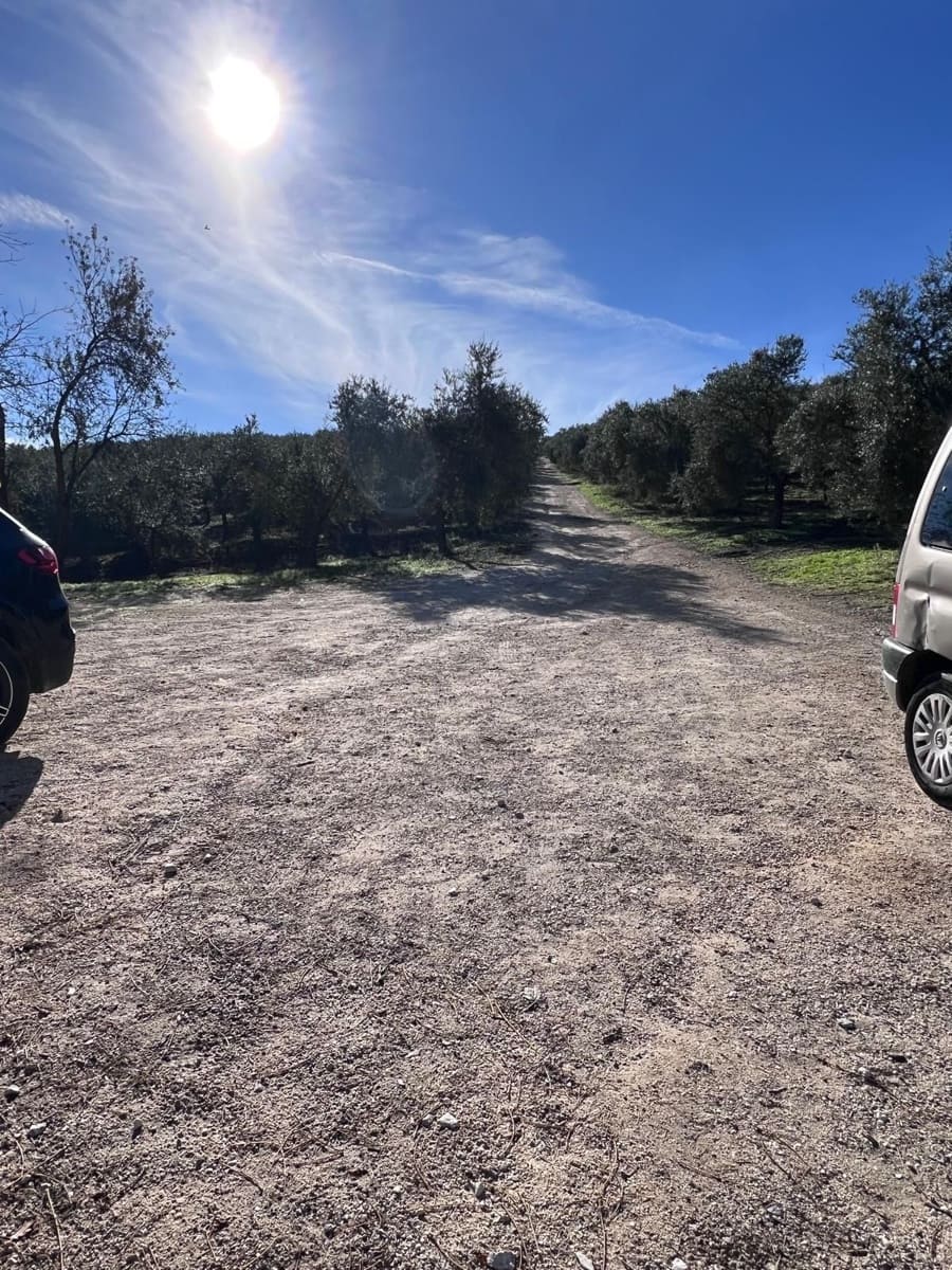 6 quarto Quinta/Casa Rural para venda em Ronda com piscina garagem - 2 900 000 € (Ref: 10128652)
