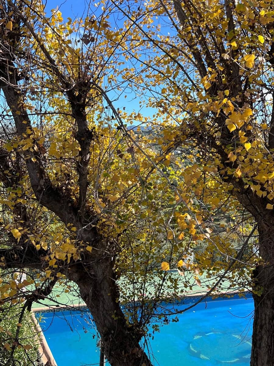6 quarto Quinta/Casa Rural para venda em Ronda com piscina garagem - 2 900 000 € (Ref: 10128652)