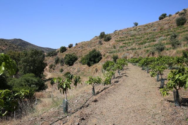 2 bedroom Finca/Country House for sale in Totalán with garage - € 382,000 (Ref: 10128668)