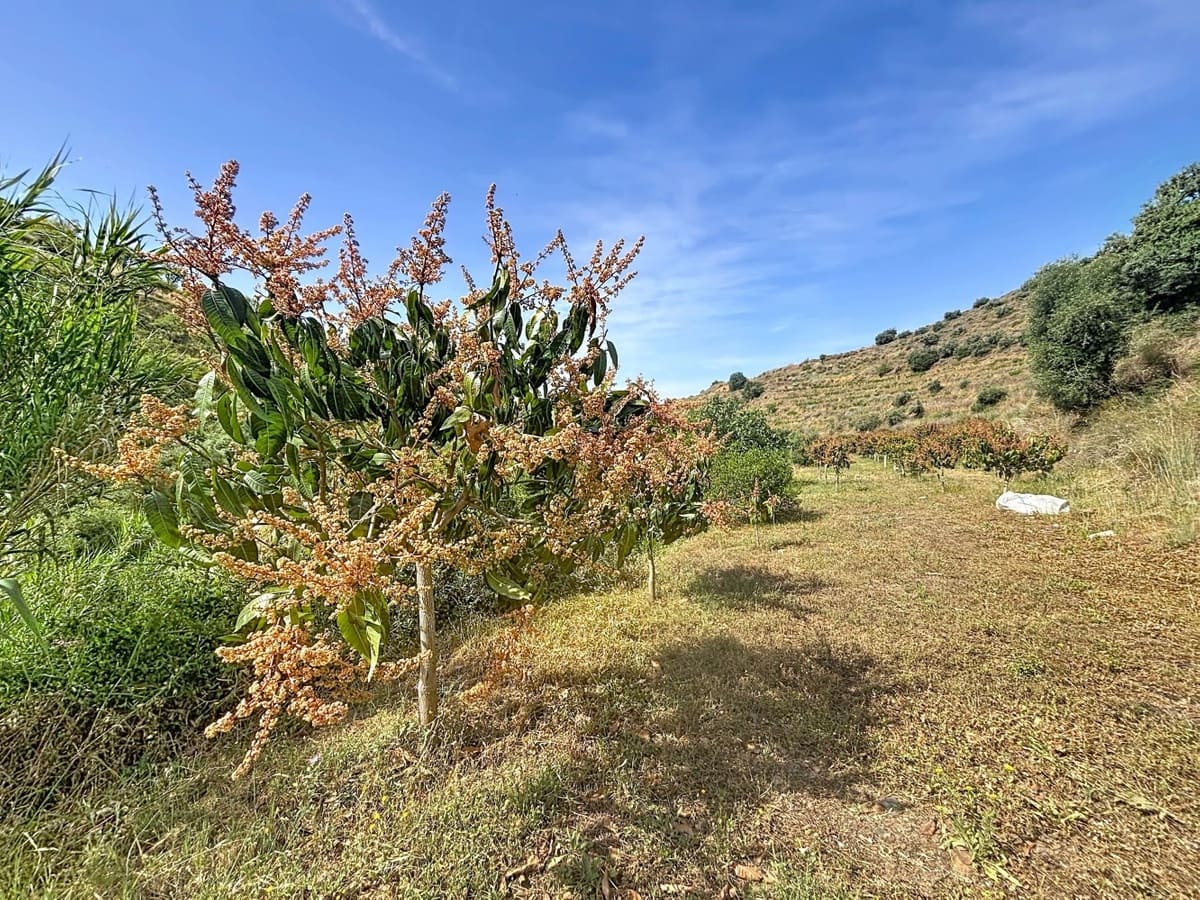 2 soverom Finca/Herregård til salgs i Totalan med garasje - € 382 000 (Ref: 10128668)