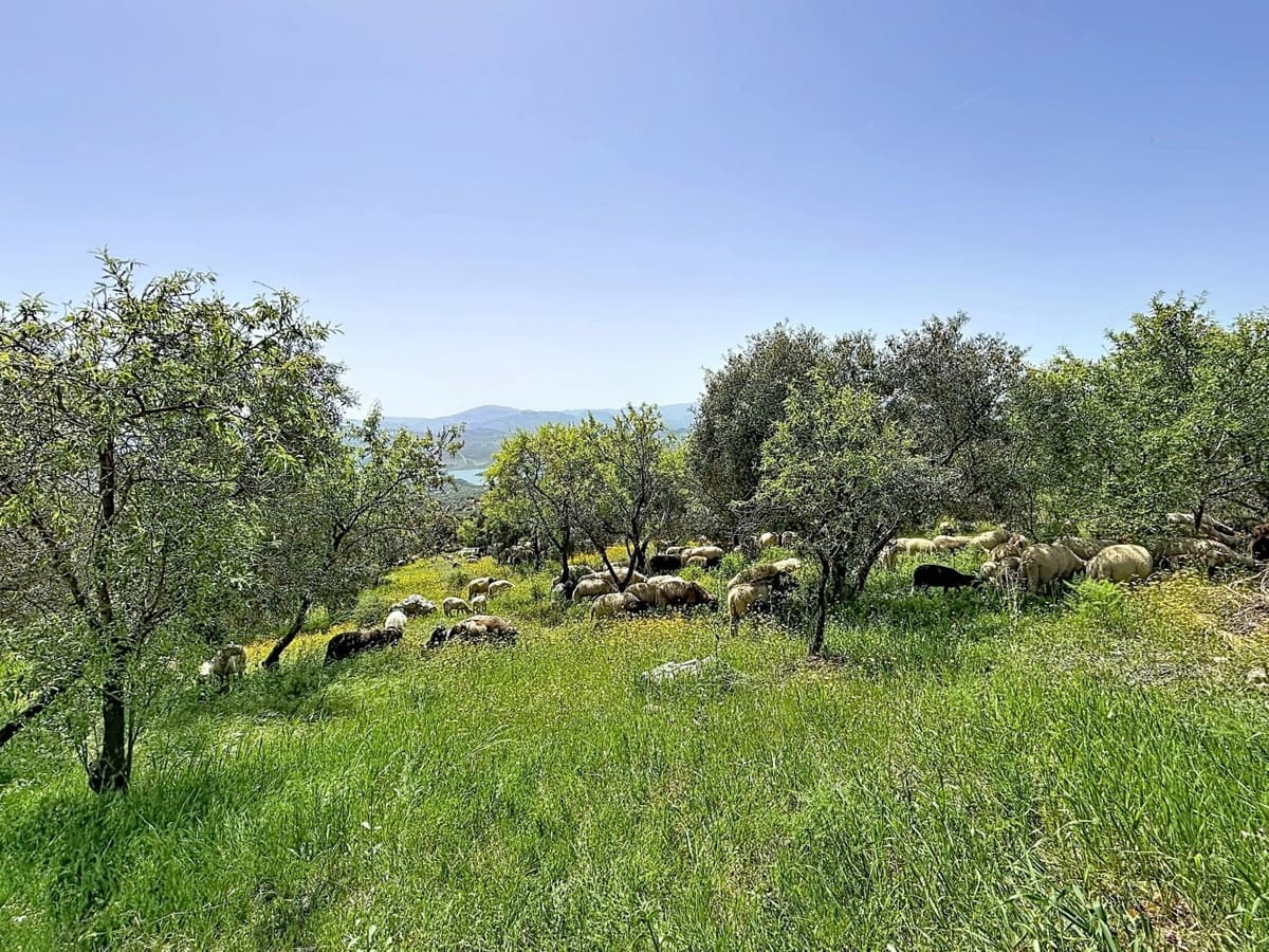 8 soverom Villa til salgs i Alcaucin med svømmebasseng garasje - € 1 250 000 (Ref: 10128671)