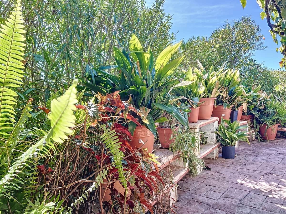 3 chambre Villa/Maison à vendre à Sedella avec piscine - 223 000 € (Ref: 10128681)