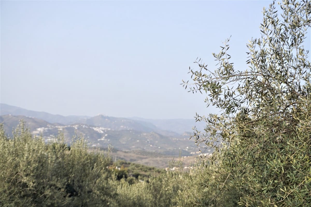 Finca/Casa Rural de 3 habitaciones en Alcaucín en venta con garaje - 375.000 € (Ref: 10128701)
