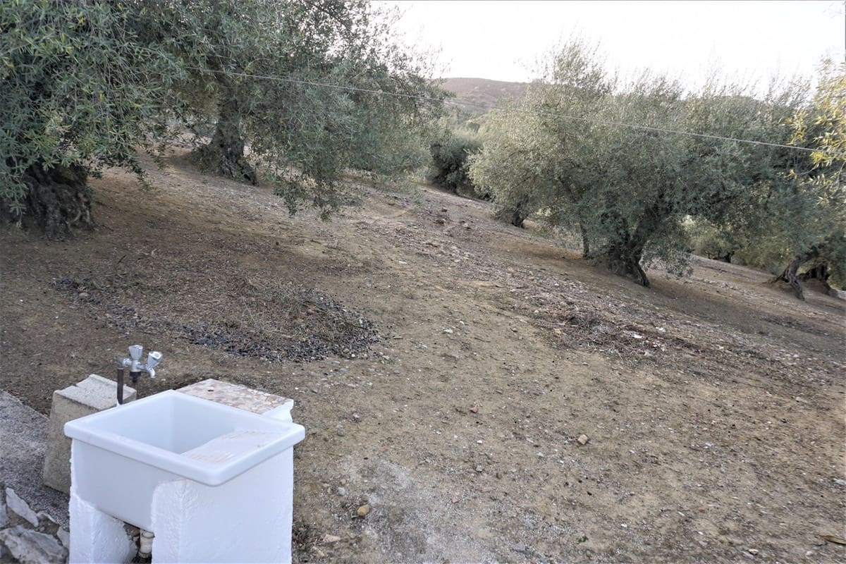 Finca/Casa Rural de 3 habitaciones en Alcaucín en venta con garaje - 375.000 € (Ref: 10128701)