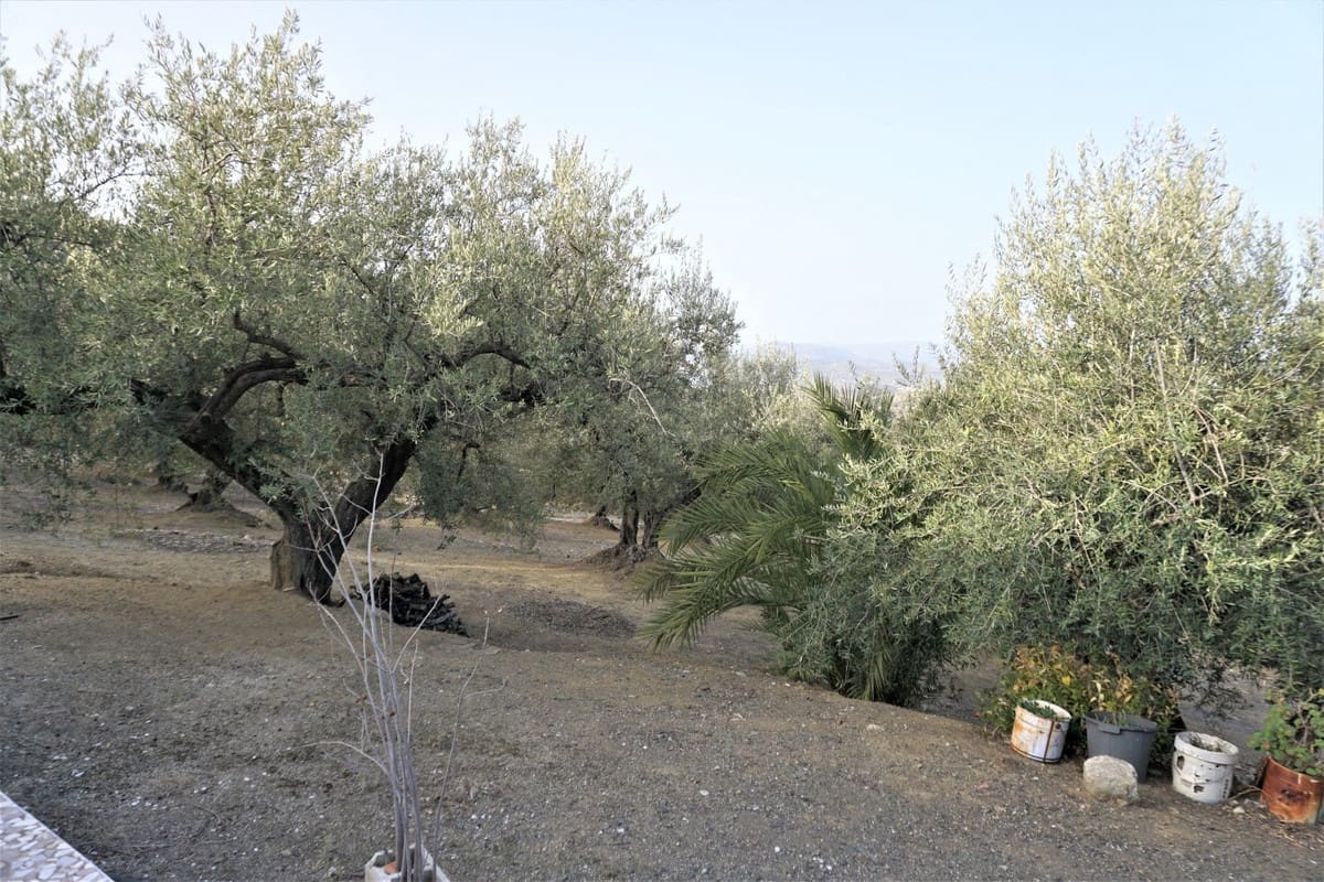 Finca/Casa Rural de 3 habitaciones en Alcaucín en venta con garaje - 375.000 € (Ref: 10128701)