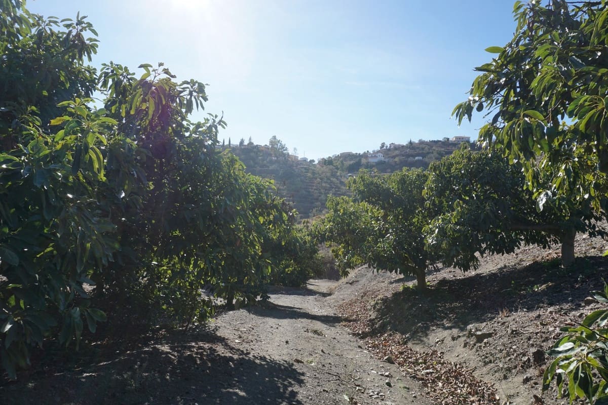 3 slaapkamer Finca/Landhuis te koop in Vinuela met garage - € 420.000 (Ref: 10128702)