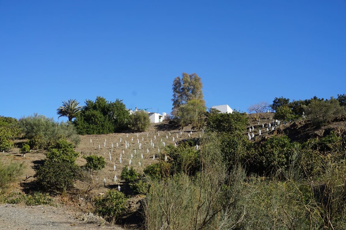 3 slaapkamer Finca/Landhuis te koop in Vinuela met garage - € 420.000 (Ref: 10128702)