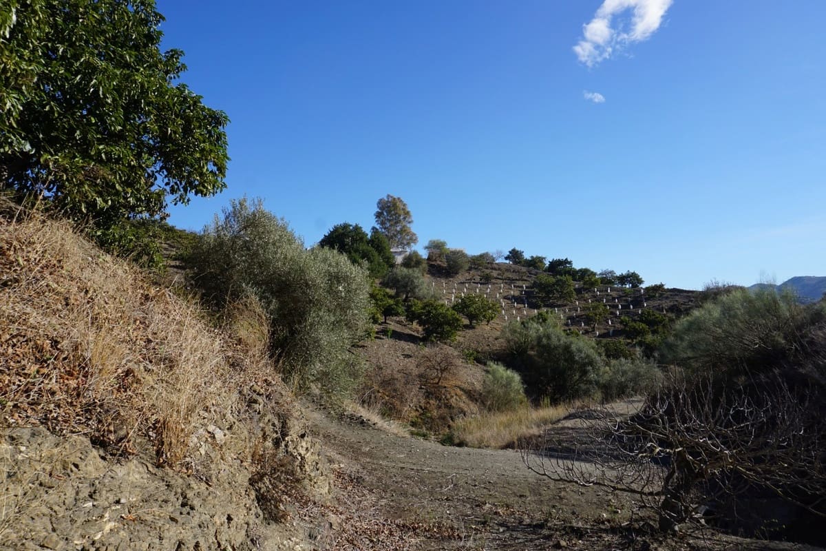 3 slaapkamer Finca/Landhuis te koop in Vinuela met garage - € 420.000 (Ref: 10128702)