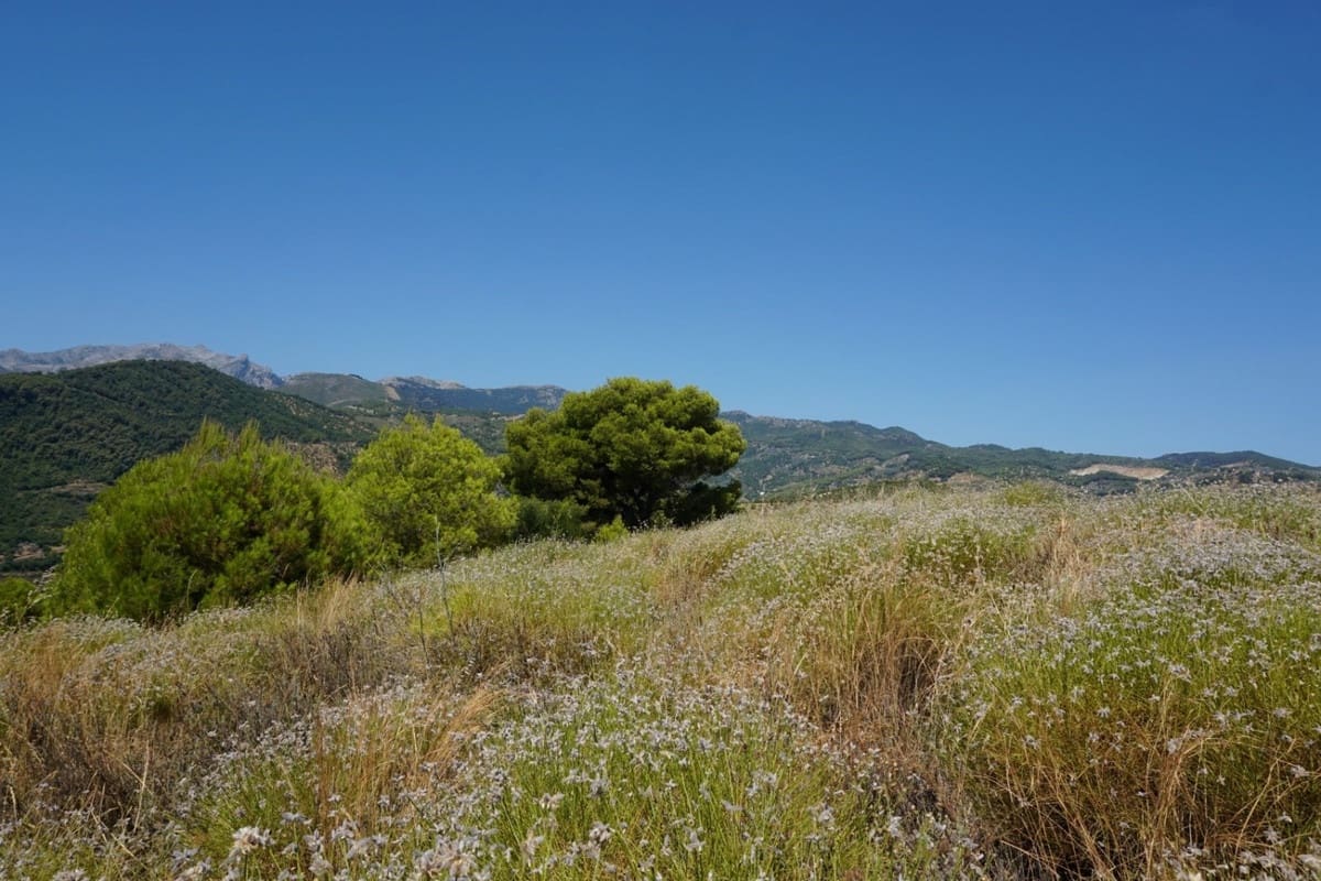 3 chambre Finca/Maison de Campagne à vendre à Yunquera - 280 000 € (Ref: 10128704)