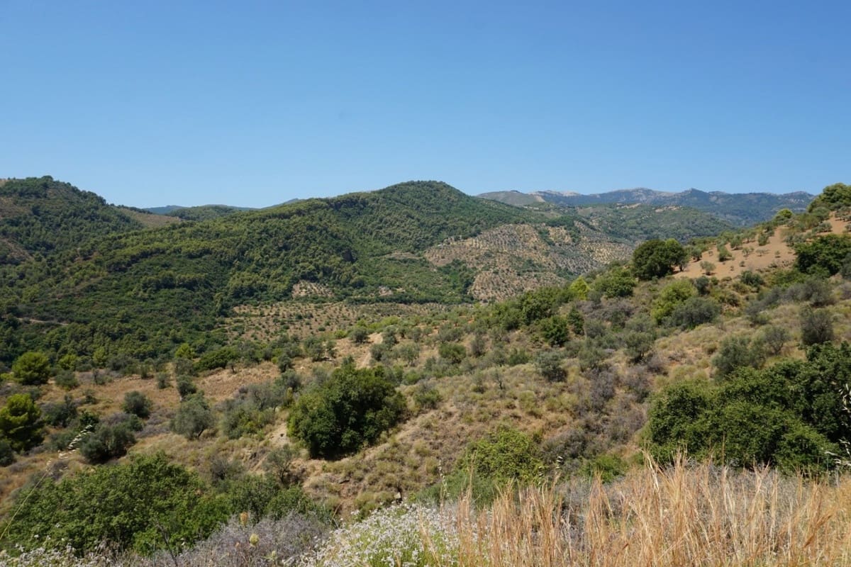3 chambre Finca/Maison de Campagne à vendre à Yunquera - 280 000 € (Ref: 10128704)