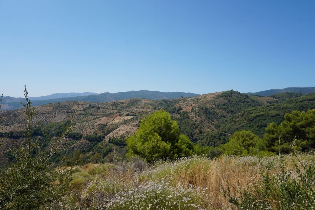 3 chambre Finca/Maison de Campagne à vendre à Yunquera - 280 000 € (Ref: 10128704)